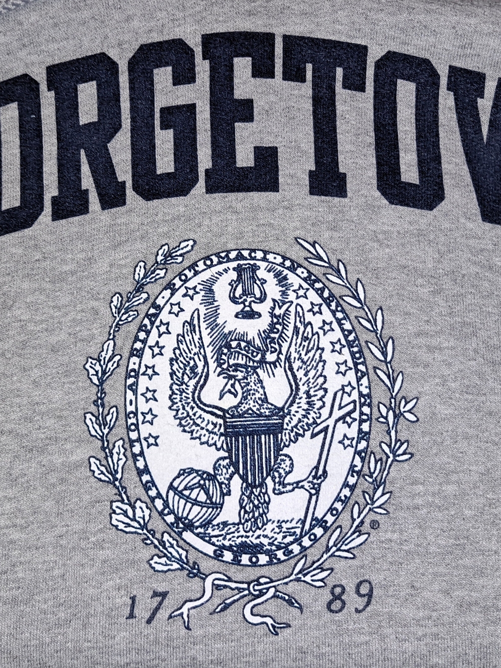 Champion Grey and Navy Hoodie with Champion Eco Tag